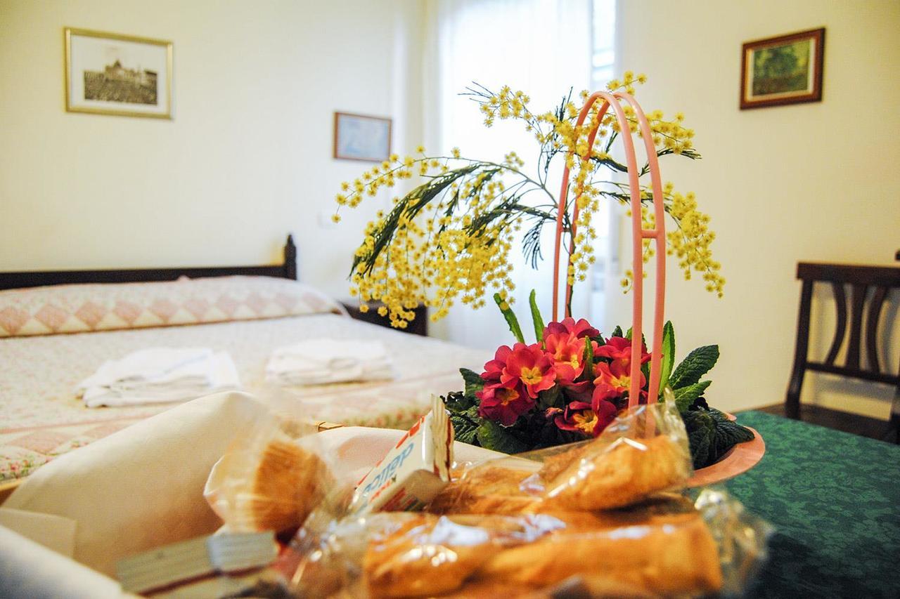 Ianus Guest house 3*